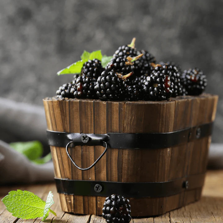 Black Raspberry & Vanilla Snapbar