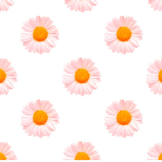 Daisy Snapbar